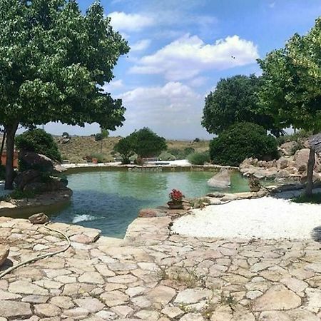 Finca El Cerco A 5M De Puy Du Fou Y 10M A Casco Antiguo De Toledo Villa Argés Exterior foto