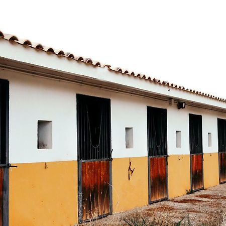 Finca El Cerco A 5M De Puy Du Fou Y 10M A Casco Antiguo De Toledo Villa Argés Exterior foto