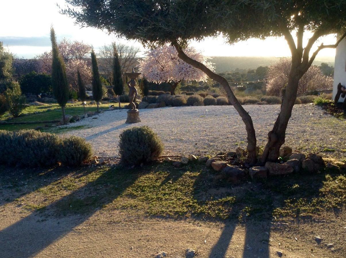Finca El Cerco A 5M De Puy Du Fou Y 10M A Casco Antiguo De Toledo Villa Argés Exterior foto