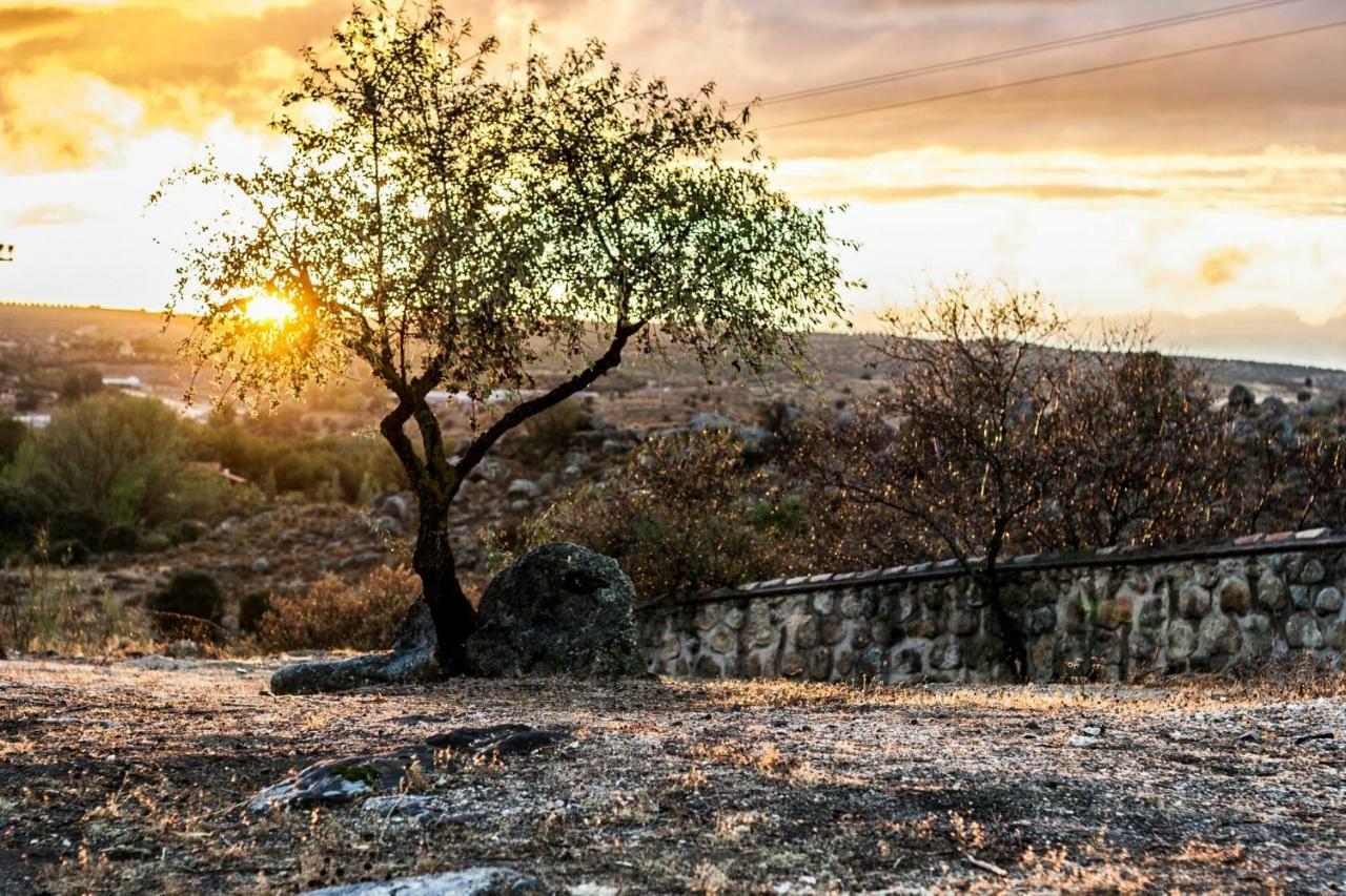 Finca El Cerco A 5M De Puy Du Fou Y 10M A Casco Antiguo De Toledo Villa Argés Exterior foto