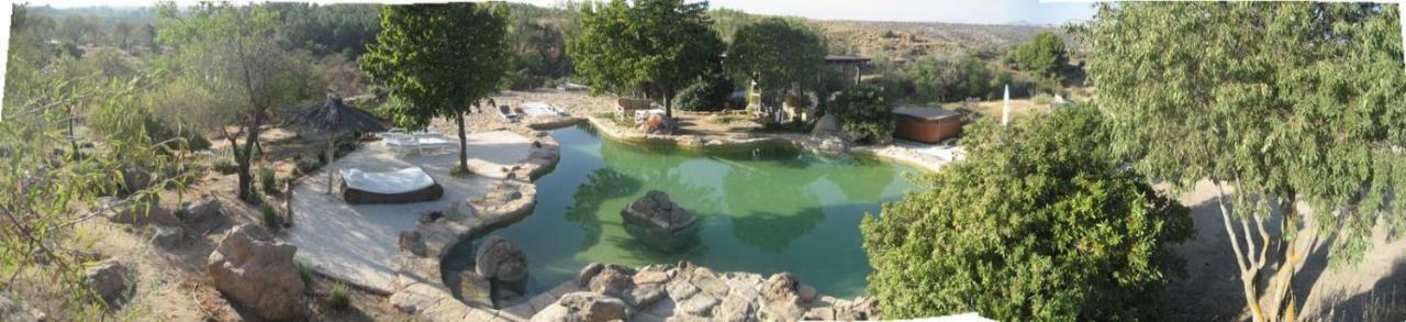 Finca El Cerco A 5M De Puy Du Fou Y 10M A Casco Antiguo De Toledo Villa Argés Exterior foto