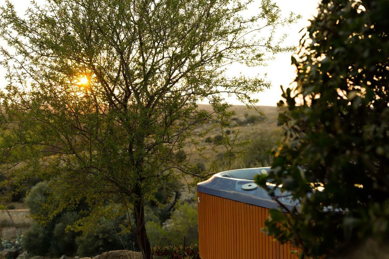 Finca El Cerco A 5M De Puy Du Fou Y 10M A Casco Antiguo De Toledo Villa Argés Exterior foto